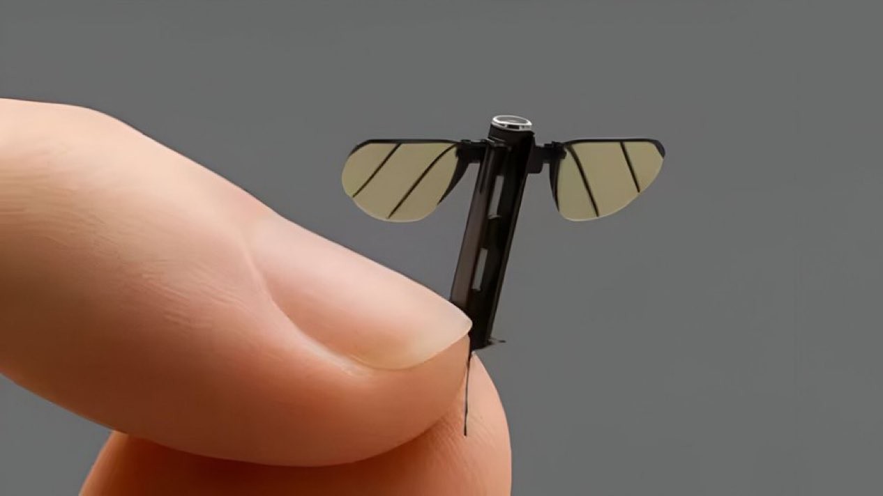 'Drone mosquito': conheça o 'nanoespião' da China capaz de atuar no campo de batalha